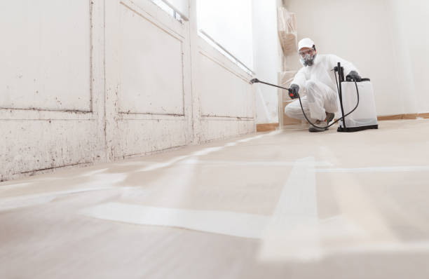 24/7 Emergency Basement Mold Remediation experts in Hudson, NY